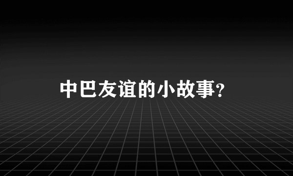中巴友谊的小故事？