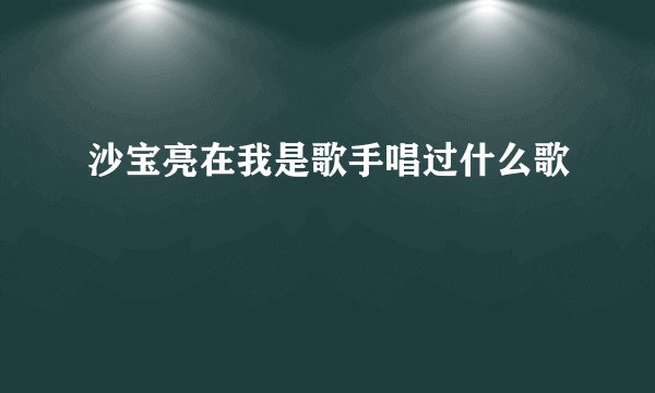 沙宝亮在我是歌手唱过什么歌