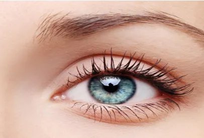 双眼皮做宽了能修复吗