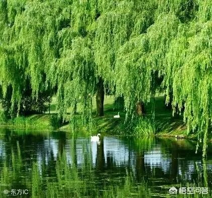 如何寻找人生的导师？