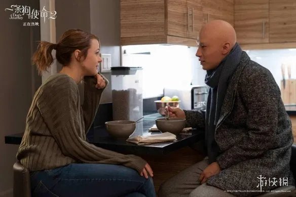 《一条狗的使命2》曝全新剧照 主演造型迎来“全光”