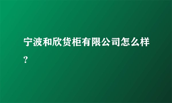 宁波和欣货柜有限公司怎么样？