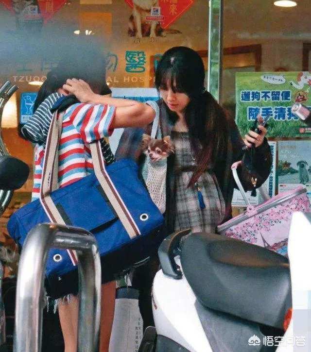 6月17日郭碧婷腹部隆起似皮球被猜测怀孕，为什么明星生子这么多人关注？