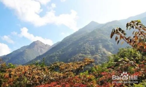 高州有什么好玩的地方景点