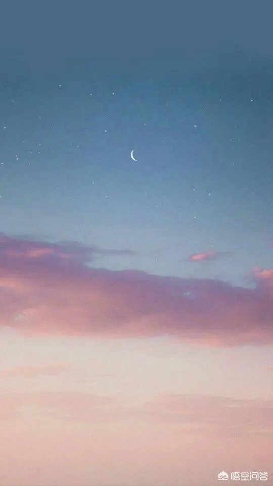 有哪些清新可爱的手机壁纸可以推荐？