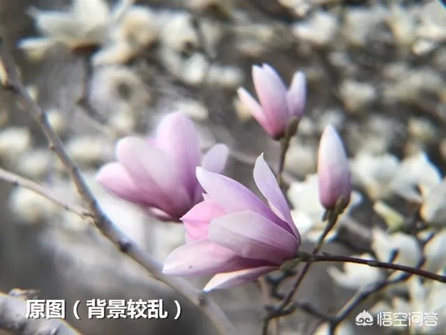 如何利用手机app让一张照片“起死回生”?