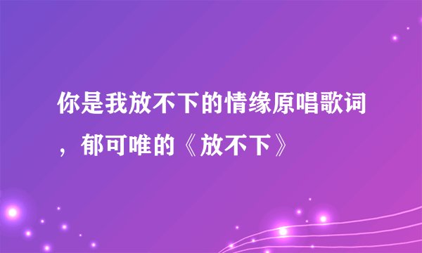 你是我放不下的情缘原唱歌词，郁可唯的《放不下》