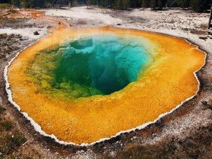 美国单日新增确诊病例逾2.4万例，累计154万例，你怎么看？