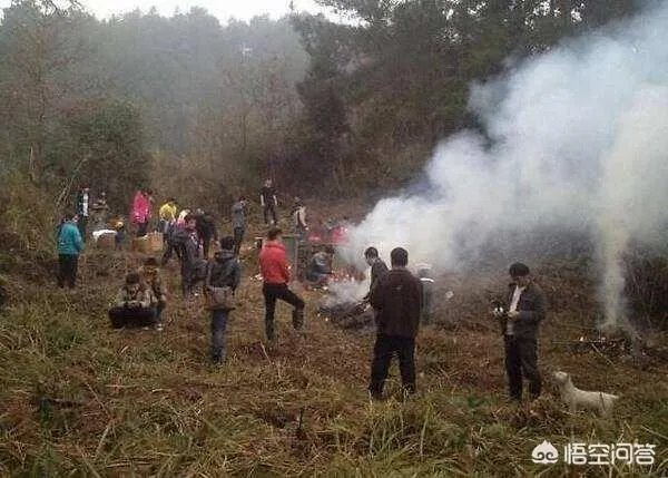 祖坟遗骨被抛洒，78位村民状告开发商索赔410万，怎么回事？