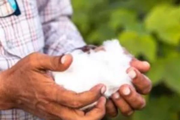 安踏将退出BCI组织