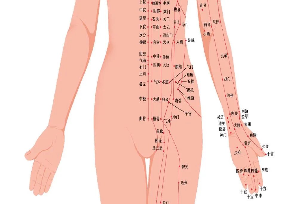 人体经络示意图