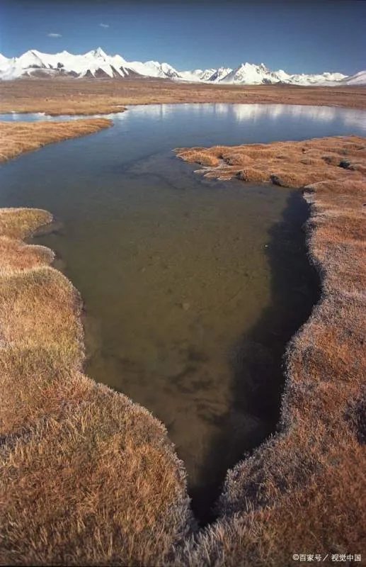 黄河携带的泥沙是否会填平渤海？黄河水变清到底是好是坏？