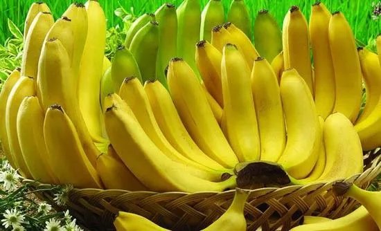 何处游客偷香蕉遭殴打?