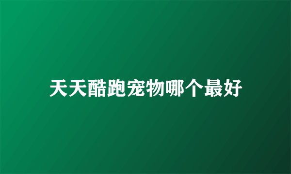 天天酷跑宠物哪个最好