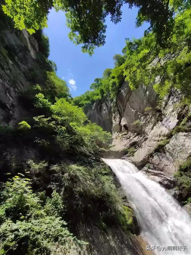 历史上从陕西逃荒到河南的难民，有没有在河南扎根的？能否分享下祖辈的经历？