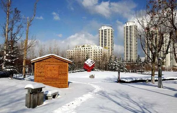 “瑞雪初降”的意思