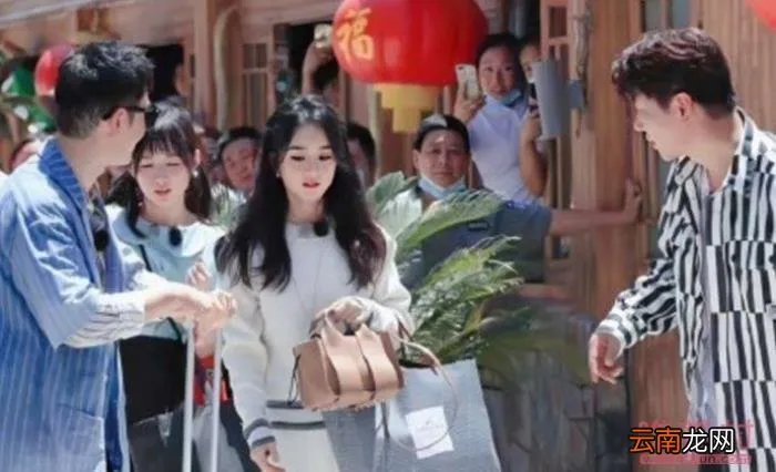 中餐厅第四季嘉宾名单完整版一览 中餐厅第四季嘉宾名单