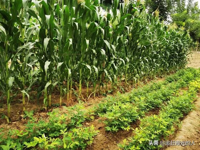 退休后想在附近农村租个房