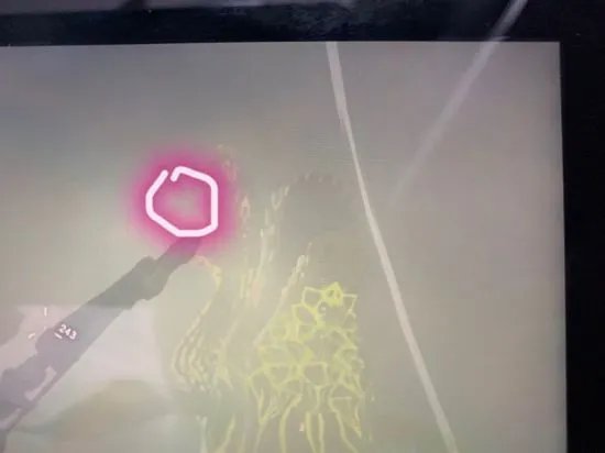 《塞尔达传说荒野之息》高效刷雷龙角方法 怎么刷雷龙角