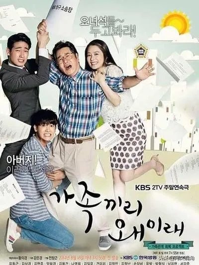 如何评价电视剧《家族之间何必这样》？