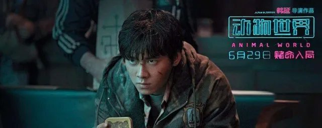 动物世界结局解析 来看看答案吧