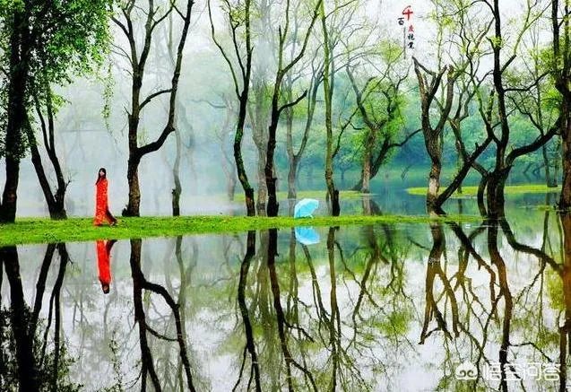 国内有哪些地方被誉为是“摄影人的天堂”？