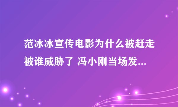 范冰冰宣传电影为什么被赶走被谁威胁了 冯小刚当场发飙愤然离场