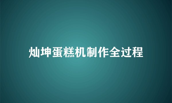 灿坤蛋糕机制作全过程