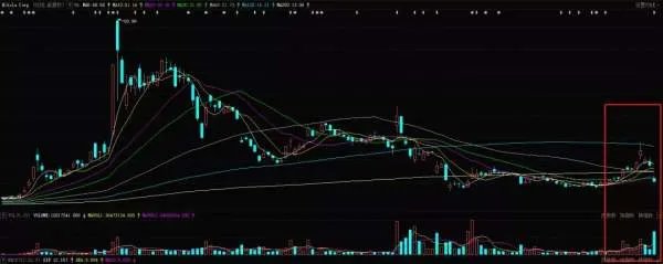 通用汽车离场,尼古拉跌下神坛!中国氢能市场行情“风”从哪来?