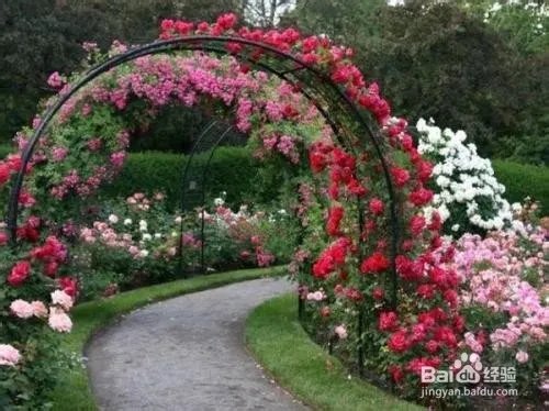 花拱门制作方法