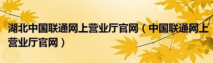 湖北中国联通网上营业厅官网（中国联通网上营业厅官网）