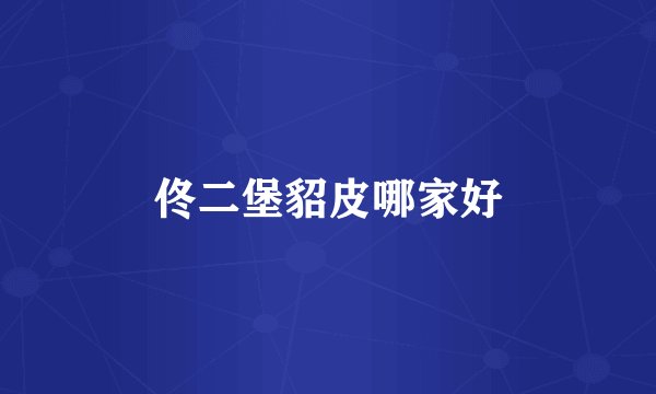 佟二堡貂皮哪家好