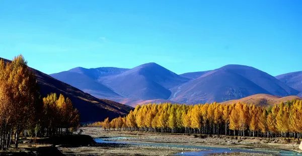 前往稻城亚丁的游客却被劝返，工作人员是如何回应的？