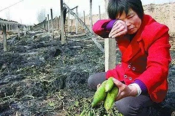 父母是普通乡下农民，辛苦一辈子给孩子全款买房，还要买奥迪车，这样真的好吗？