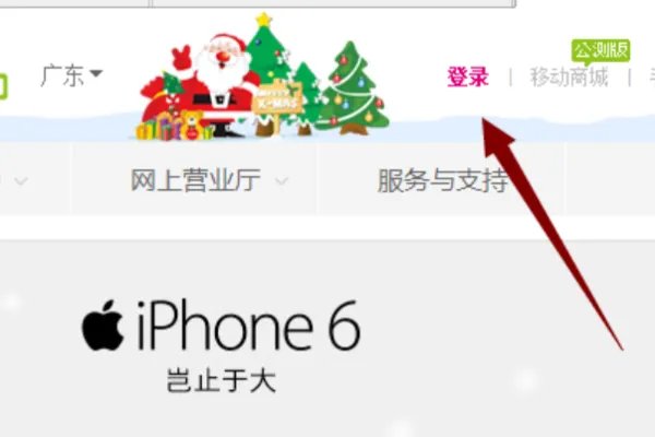 我的话费清单怎么查询