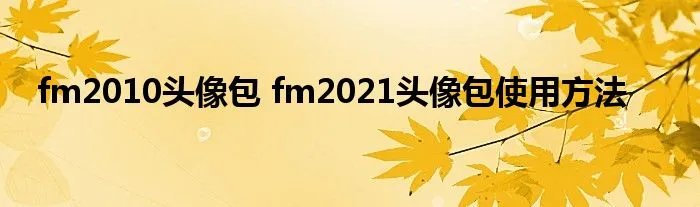fm2010头像包 fm2021头像包使用方法