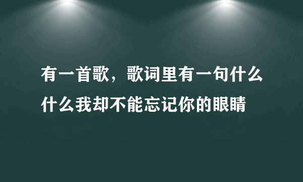 有一首歌，歌词里有一句什么什么我却不能忘记你的眼睛