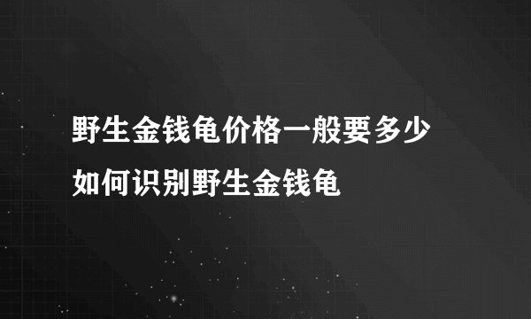 野生金钱龟价格一般要多少 如何识别野生金钱龟