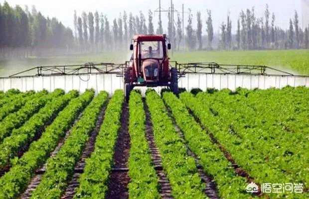 果树，需要叶面肥吗？