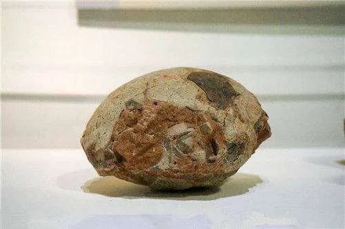 我有一个恐龙蛋化石。不知道值多少钱