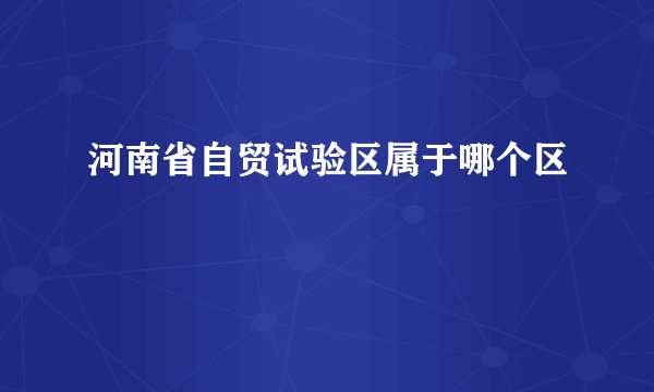 河南省自贸试验区属于哪个区