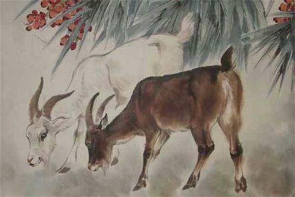 1991年属什么生肖