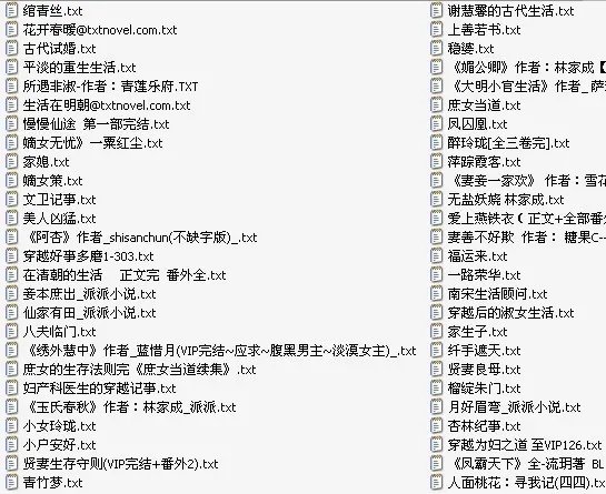 好看的穿越小说完整版txt 多多益善