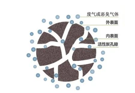 家里的空气污染严重，老师傅这样治理能多活20年