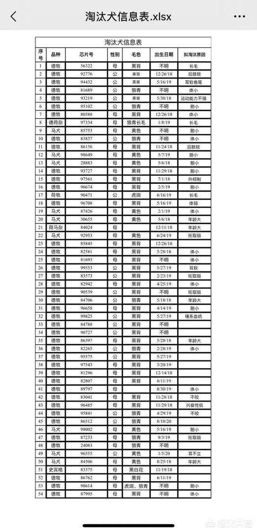 中国刑警学院竞售淘汰犬，要求不得弃养，你会买吗？
