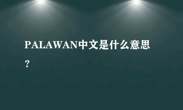 PALAWAN中文是什么意思？