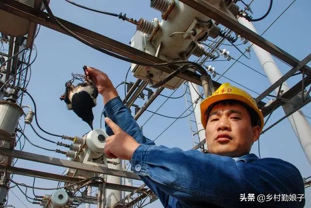 过去鸟筑巢都是在树上，为什么现在都在高压线铁塔上筑巢？