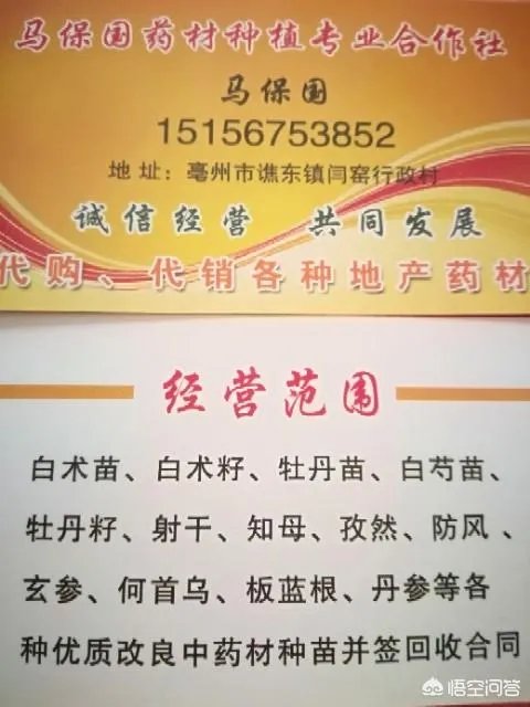 种药材真的能赚钱吗