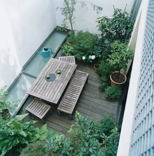 老来有个小院，不胜欢欣！