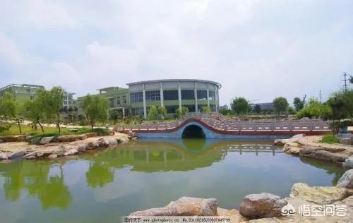 青岛理工大学与青岛科技大学比较，哪个更好？